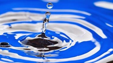 l'essence d'un régime pour perdre du poids