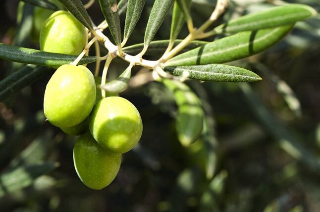 avantages de manger des olives avec un régime cétogène